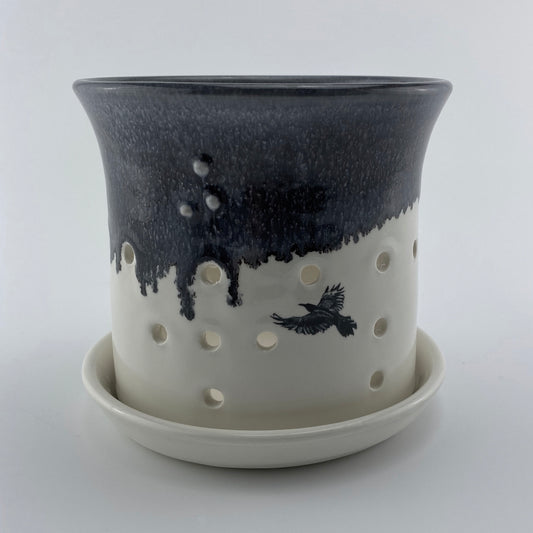 Orchid Pot (Medium Large)