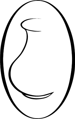 Clay Necessities logo